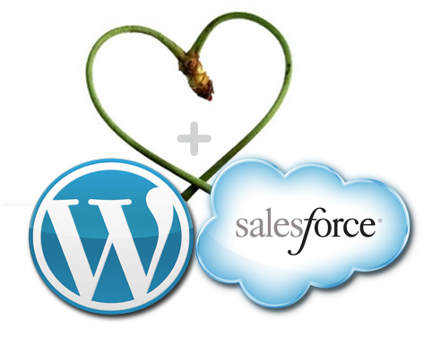 Image result for wordpress integration with salesforce
