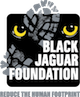 Black Jaguar Foundation logo