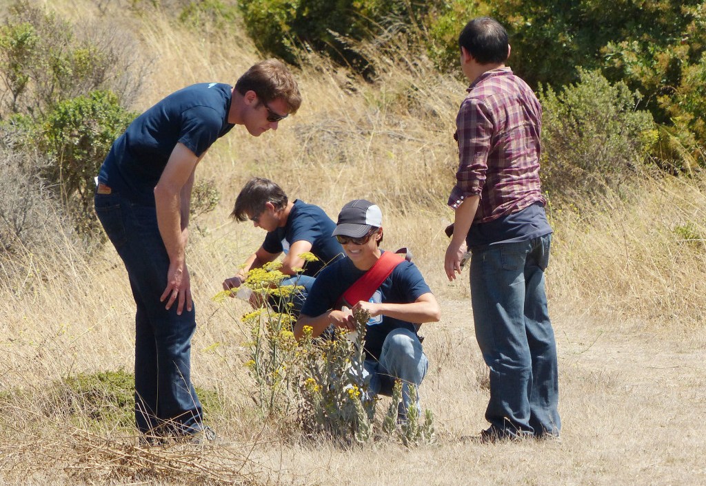 Volunteers gather plant seeds