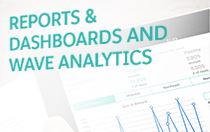 E-Book: Reports & Dashboards for Wave Analytics
