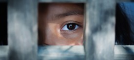 Child looking through wooden frame