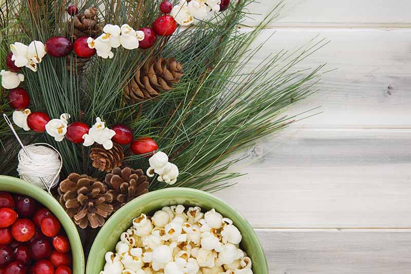 Rustic Christmas Tree Canberry Popcorn Garland String
