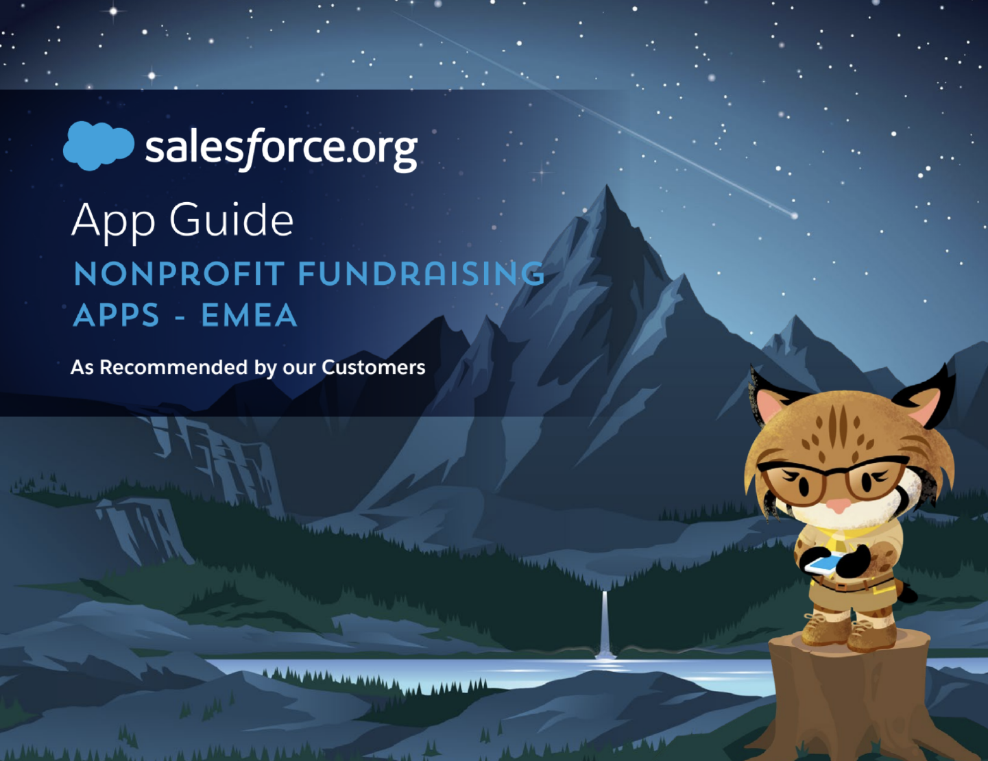 Nonprofit Fundraising App Guide- ebook cover