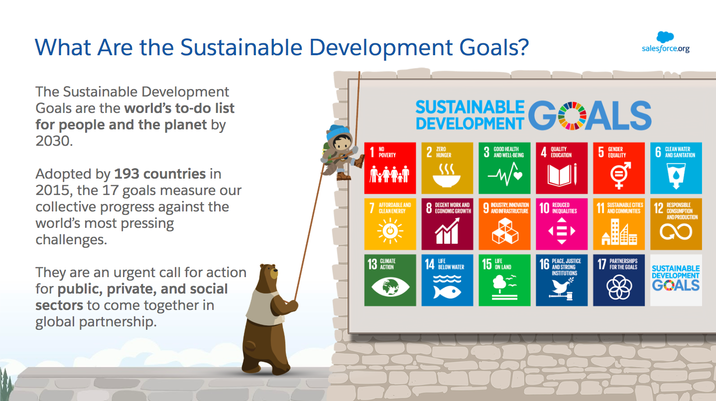 SDGs: What Are They?