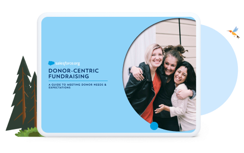 Donor Centric Fundraising