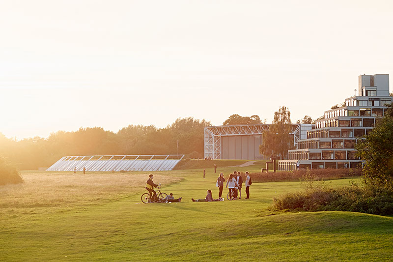 Students meeting up on the UEA campus during sunset.
