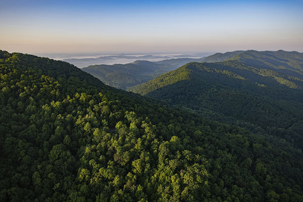 Aerial view of the Cumberland Forest