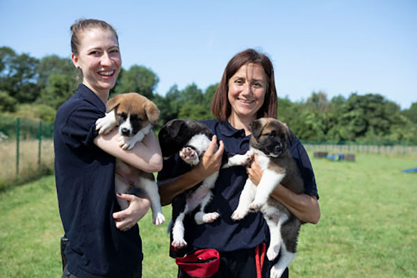 Two staff members of RSPCA holding three puppies.