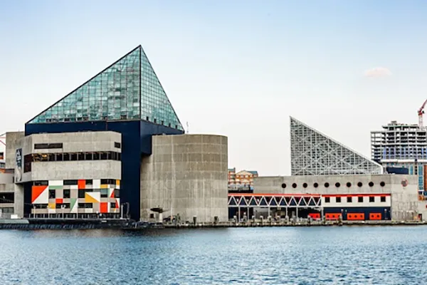 The National Aquarium in Baltimore