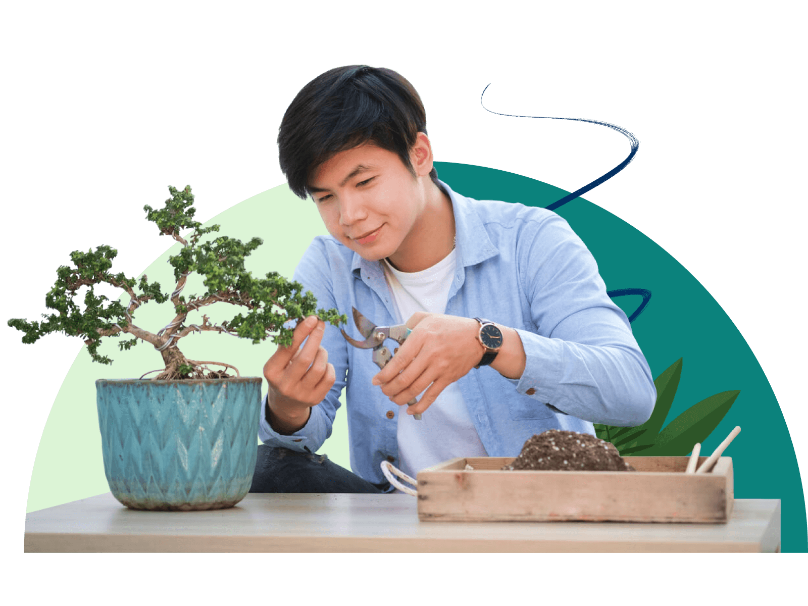 Man tending to bonsai plant