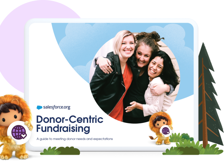 Donor Centric Fundraising cover image